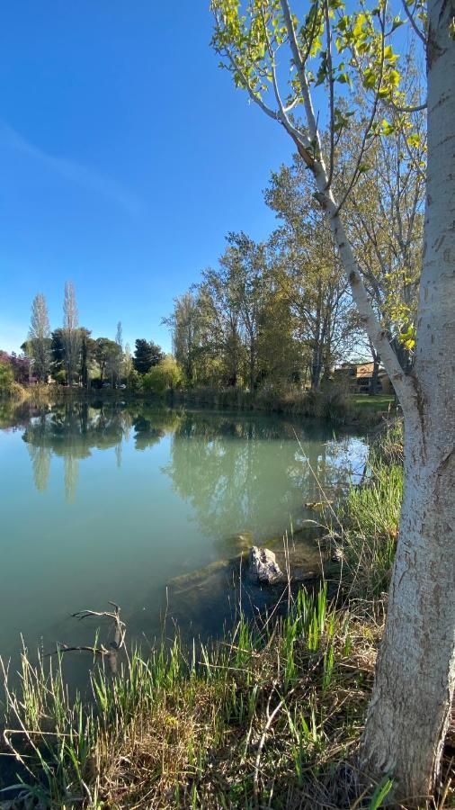Joli Appartement 27M2 Oasis Provencale En Village Vacances En Camargue Arles Eksteriør billede