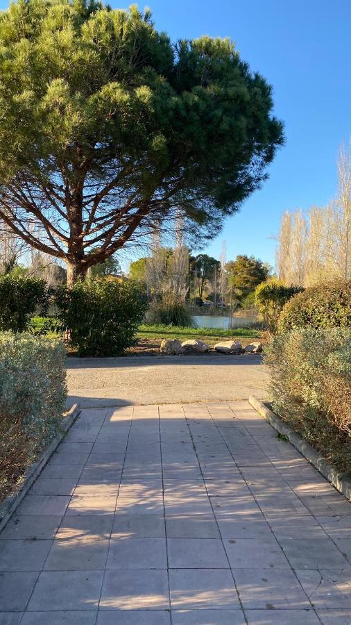Joli Appartement 27M2 Oasis Provencale En Village Vacances En Camargue Arles Eksteriør billede