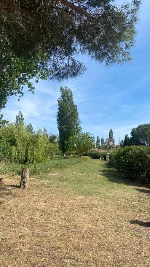 Joli Appartement 27M2 Oasis Provencale En Village Vacances En Camargue Arles Eksteriør billede