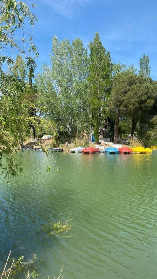 Joli Appartement 27M2 Oasis Provencale En Village Vacances En Camargue Arles Eksteriør billede